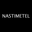 nastimetel.ru favicon